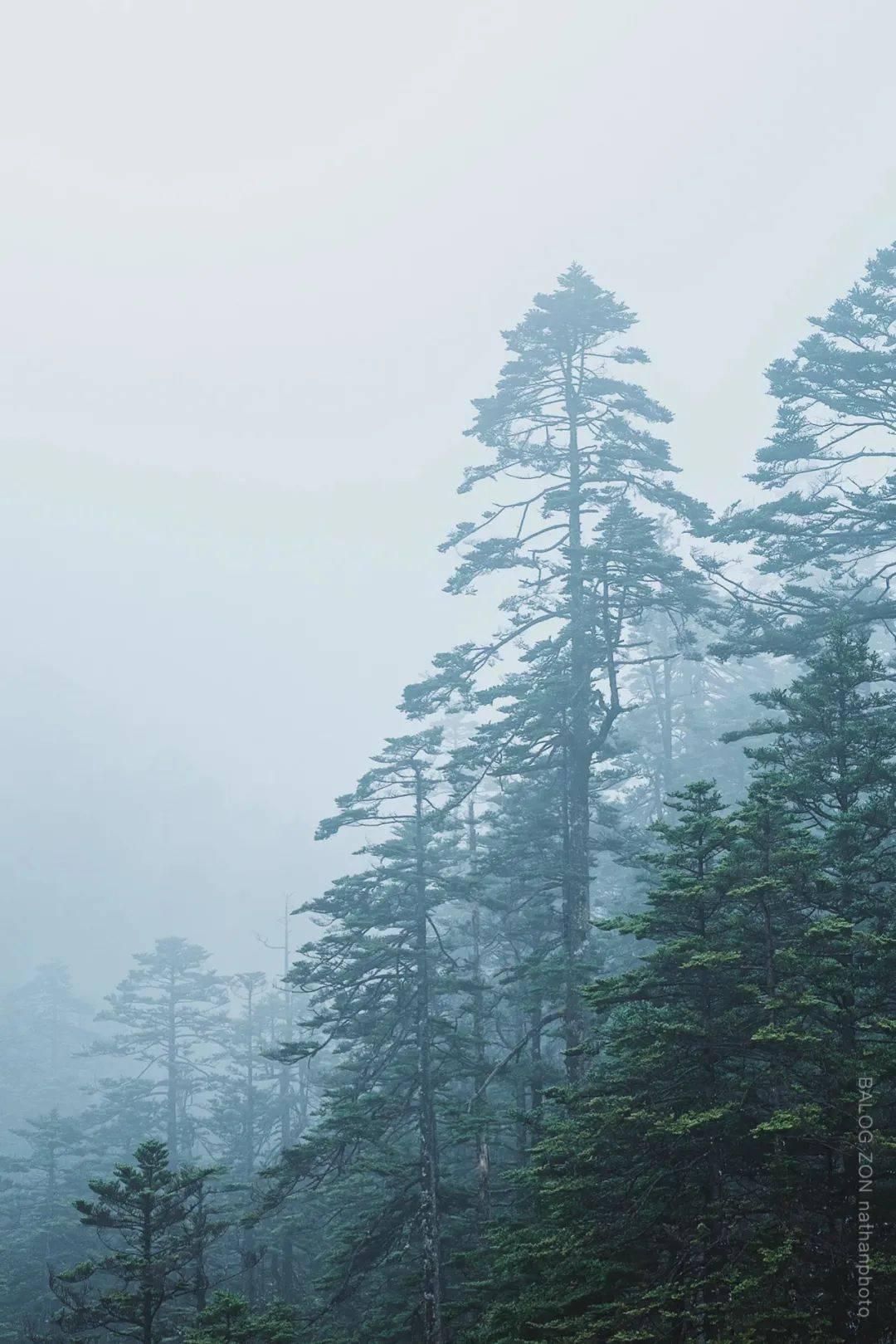 月光影视